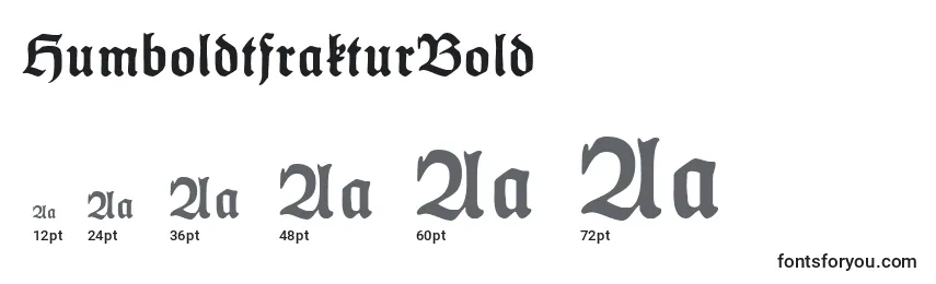 Размеры шрифта HumboldtfrakturBold