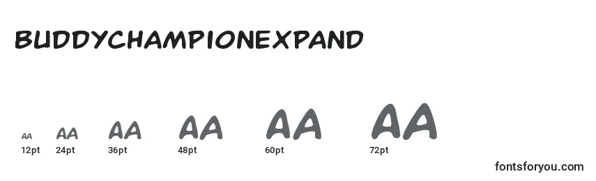 Buddychampionexpand Font Sizes
