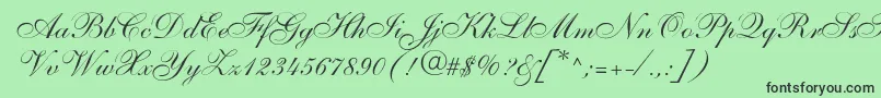 Shelleyallegroscript Font – Black Fonts on Green Background