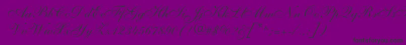 Shelleyallegroscript-Schriftart – Schwarze Schriften auf violettem Hintergrund