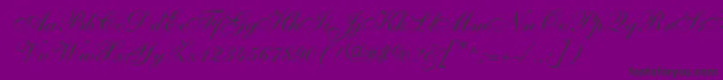 fuente Shelleyallegroscript – Fuentes Negras Sobre Fondo Morado