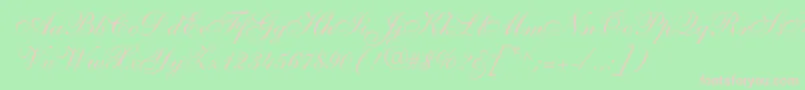 Shelleyallegroscript Font – Pink Fonts on Green Background