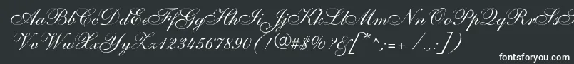 Shelleyallegroscript Font – White Fonts on Black Background