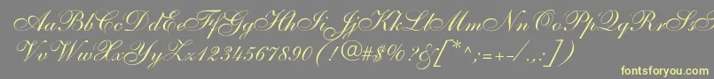 Shelleyallegroscript-Schriftart – Gelbe Schriften auf grauem Hintergrund