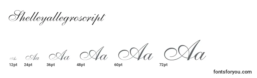 Размеры шрифта Shelleyallegroscript