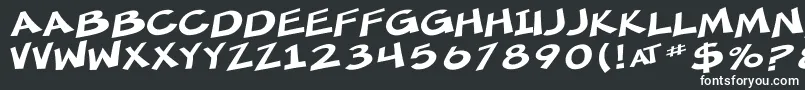 SfMincedMeatExtended Font – White Fonts on Black Background