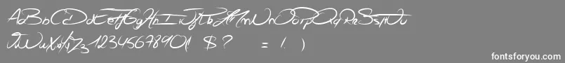 Felix Font – White Fonts on Gray Background