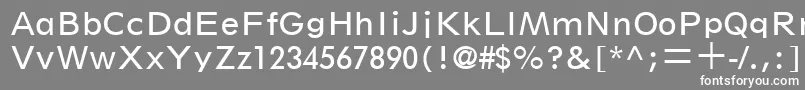 SpartanLtBookClassified Font – White Fonts on Gray Background