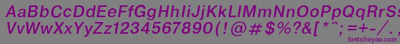 Шрифт Encycita – фиолетовые шрифты на сером фоне