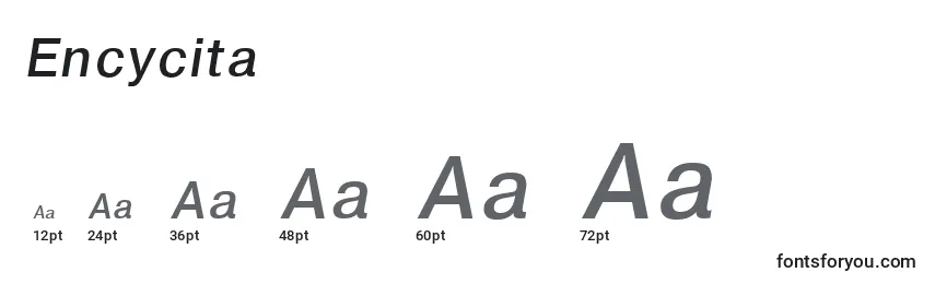 Encycita Font Sizes