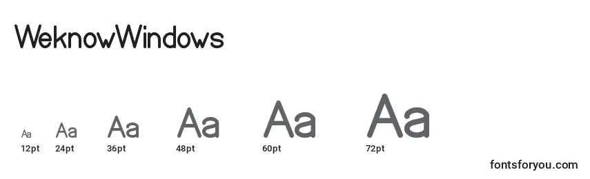 WeknowWindows Font Sizes