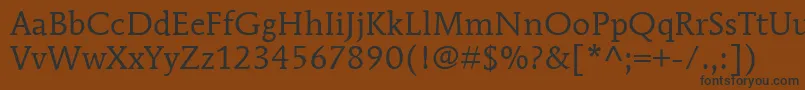 ItcMendozaRomanLtBook Font – Black Fonts on Brown Background