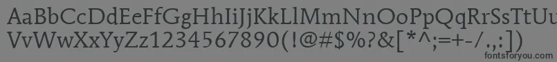 ItcMendozaRomanLtBook Font – Black Fonts on Gray Background
