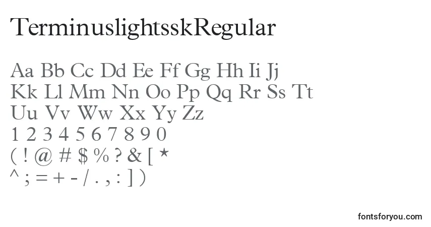 Czcionka TerminuslightsskRegular – alfabet, cyfry, specjalne znaki