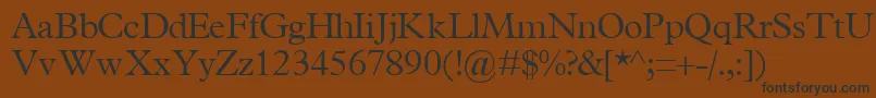 TerminuslightsskRegular Font – Black Fonts on Brown Background