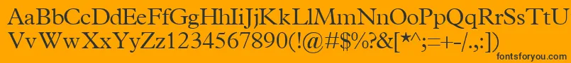 TerminuslightsskRegular Font – Black Fonts on Orange Background