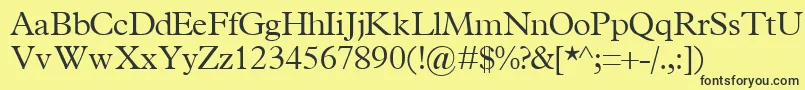 TerminuslightsskRegular Font – Black Fonts on Yellow Background