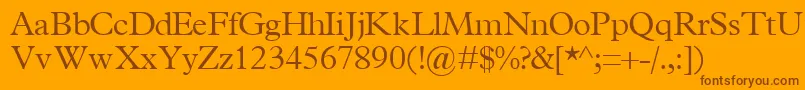 TerminuslightsskRegular Font – Brown Fonts on Orange Background