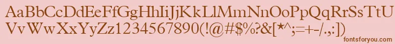 TerminuslightsskRegular-Schriftart – Braune Schriften auf rosa Hintergrund