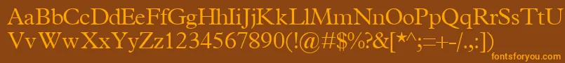 TerminuslightsskRegular Font – Orange Fonts on Brown Background