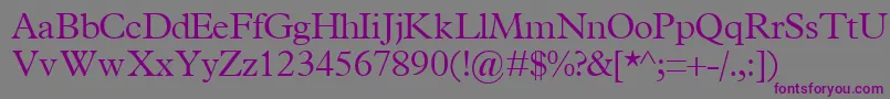 フォントTerminuslightsskRegular – 紫色のフォント、灰色の背景