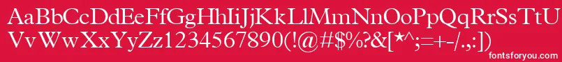 TerminuslightsskRegular Font – White Fonts on Red Background