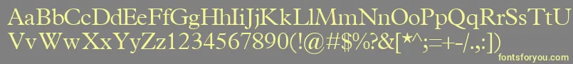 TerminuslightsskRegular Font – Yellow Fonts on Gray Background