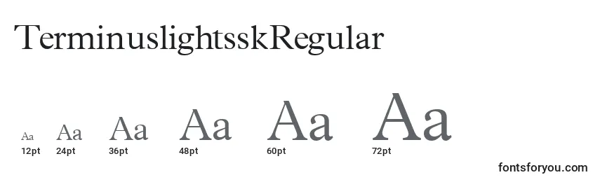 Размеры шрифта TerminuslightsskRegular