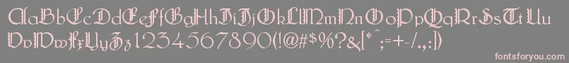 LautenbachZierversalien Font – Pink Fonts on Gray Background