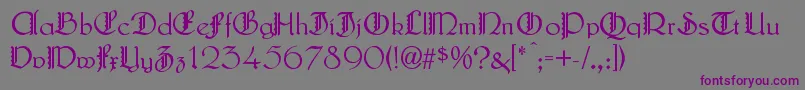 LautenbachZierversalien Font – Purple Fonts on Gray Background
