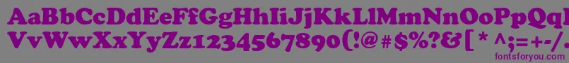 Agcrowr Font – Purple Fonts on Gray Background