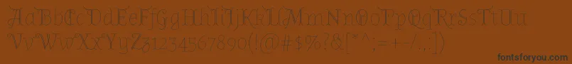 AlmendradisplayRegular Font – Black Fonts on Brown Background