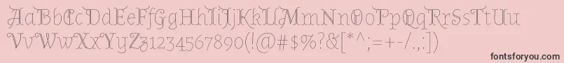 AlmendradisplayRegular Font – Black Fonts on Pink Background