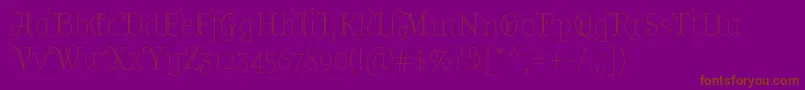 AlmendradisplayRegular Font – Brown Fonts on Purple Background