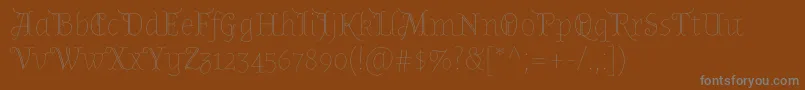 AlmendradisplayRegular-Schriftart – Graue Schriften auf braunem Hintergrund