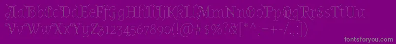 AlmendradisplayRegular Font – Gray Fonts on Purple Background