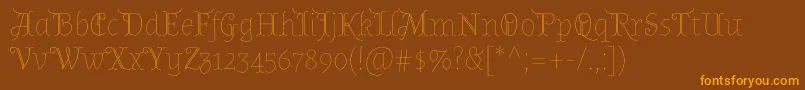 AlmendradisplayRegular Font – Orange Fonts on Brown Background