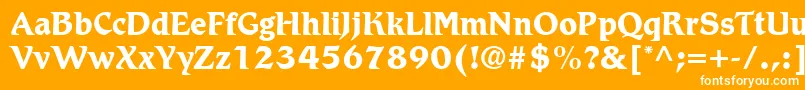 フォントRomicLtBold – オレンジの背景に白い文字