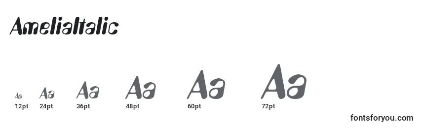 Размеры шрифта AmeliaItalic