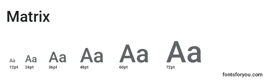 Matrix Font Sizes