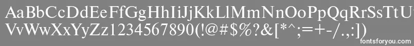 Newtondosctt Font – White Fonts on Gray Background