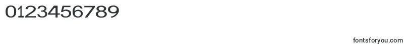 JuliasoftSpecialFontW Font – Fonts for Numbers and Digits