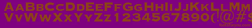 OcopperplateHeavy Font – Brown Fonts on Purple Background