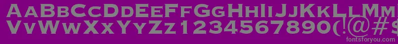 OcopperplateHeavy Font – Gray Fonts on Purple Background