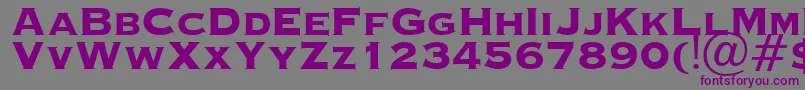 OcopperplateHeavy Font – Purple Fonts on Gray Background