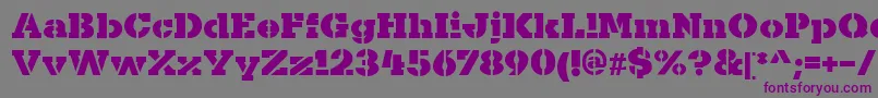 フォントKaineStencil – 紫色のフォント、灰色の背景