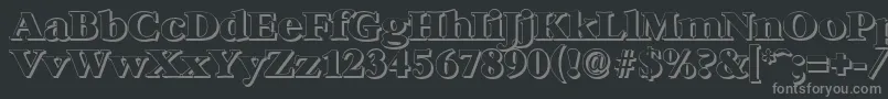 BernsteinshadowHeavyRegular Font – Gray Fonts on Black Background