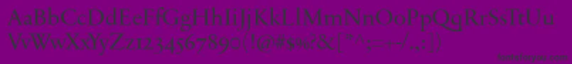 SabonnextLtDisplayOldStyleFigures Font – Black Fonts on Purple Background