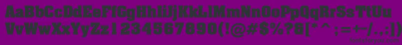 Luxor Font – Black Fonts on Purple Background