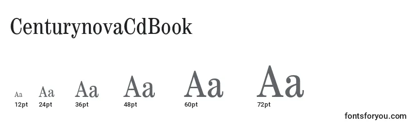 Размеры шрифта CenturynovaCdBook